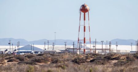 DHS watchdog to review ICE detainee deaths, use of force