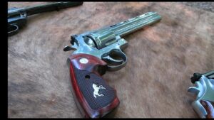 What is the Best BBQ Gun?