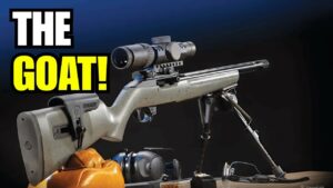 6 Reasons The Ruger 10/22 Became America’s Favorite .22 Rifle 6 Reasons The Ruger 10/22 Became America’s Favorite .22 Rifle