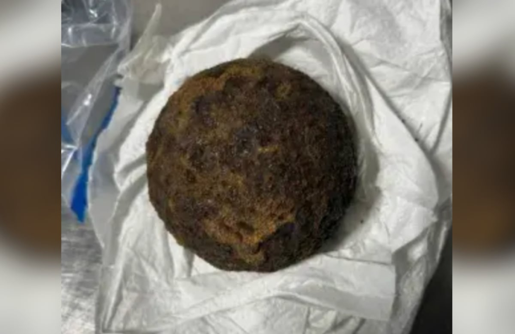 TSA stops Alabama traveler for Civil War-era cannonballs in luggage