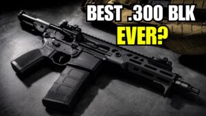 Sig Sauer Rattler LT Review: Is This The Best .300 Blackout Rifle? Sig Sauer Rattler LT Review: Is This The Best .300 Blackout Rifle?