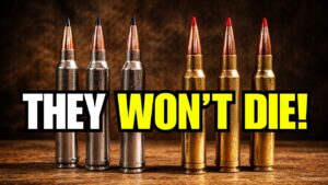 7 Forgotten Hunting Calibers That Refuse to Die