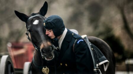 The Army certifies its first equestrians as it revamps horse care